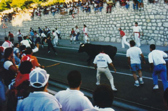 tordesillas1994-0110