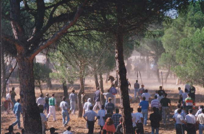 tordesillas1999-010